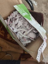 Anil Kumar review photo