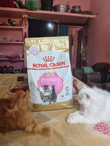 Joy & Jasmine review photo