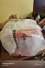 Ashish review photo
