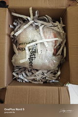 Ashish review photo