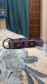 Cody review photo