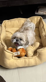 Bella review photo