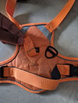 Vikrant review photo