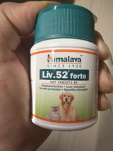 Eliya Brokz review photo
