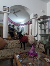 Shilpi review photo