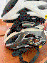 Nicholas review photo