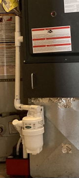 Anonymous review photo