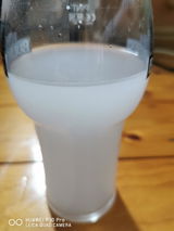 Edvin review photo