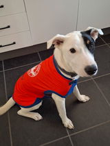 Baz review photo
