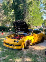 PHOENIX-INTEGRA review photo