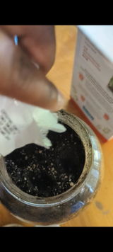 wandrawandra review photo