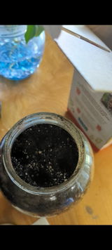 wandrawandra review photo