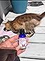Rich review photo