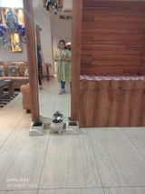 Shalini S. review photo