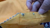 Neha S. review photo