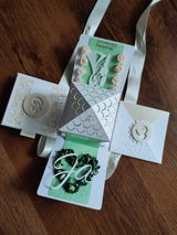Silke review photo