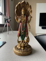 Suresh Nair review photo