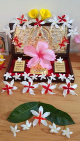 Akshaya Kshirsagar review photo