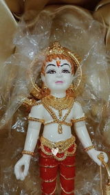 Manasvi Suthar review photo