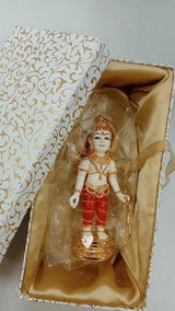 Manasvi Suthar review photo