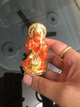 Gaurav bhola review photo