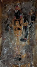 Ashim C. review photo