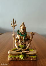 D.p. review photo