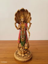 D.p. review photo
