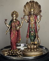 Srinivasan review photo