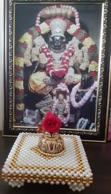 Sathvika Talasila review photo