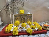 Vrushali Mestry review photo