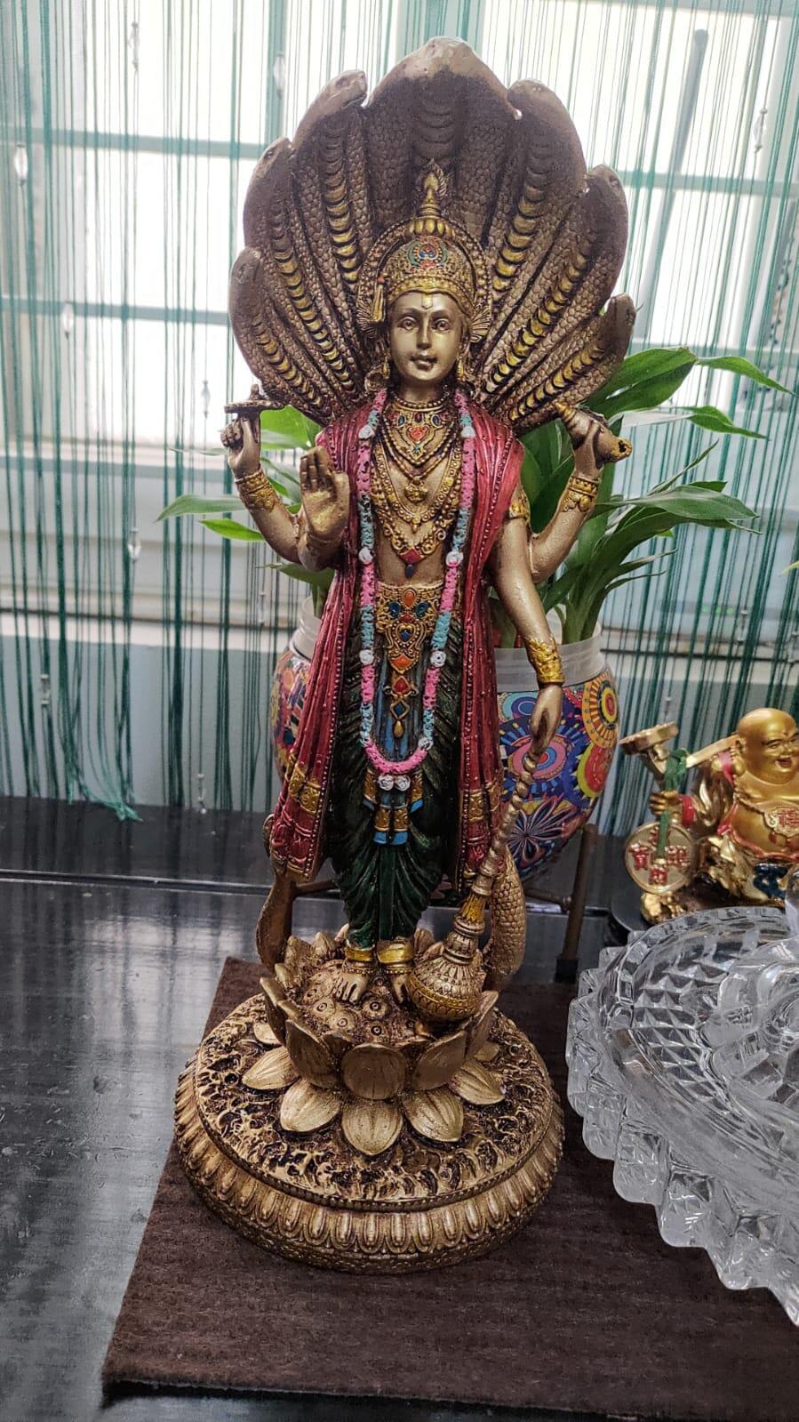 Venkata Ravi Kashyap review photo