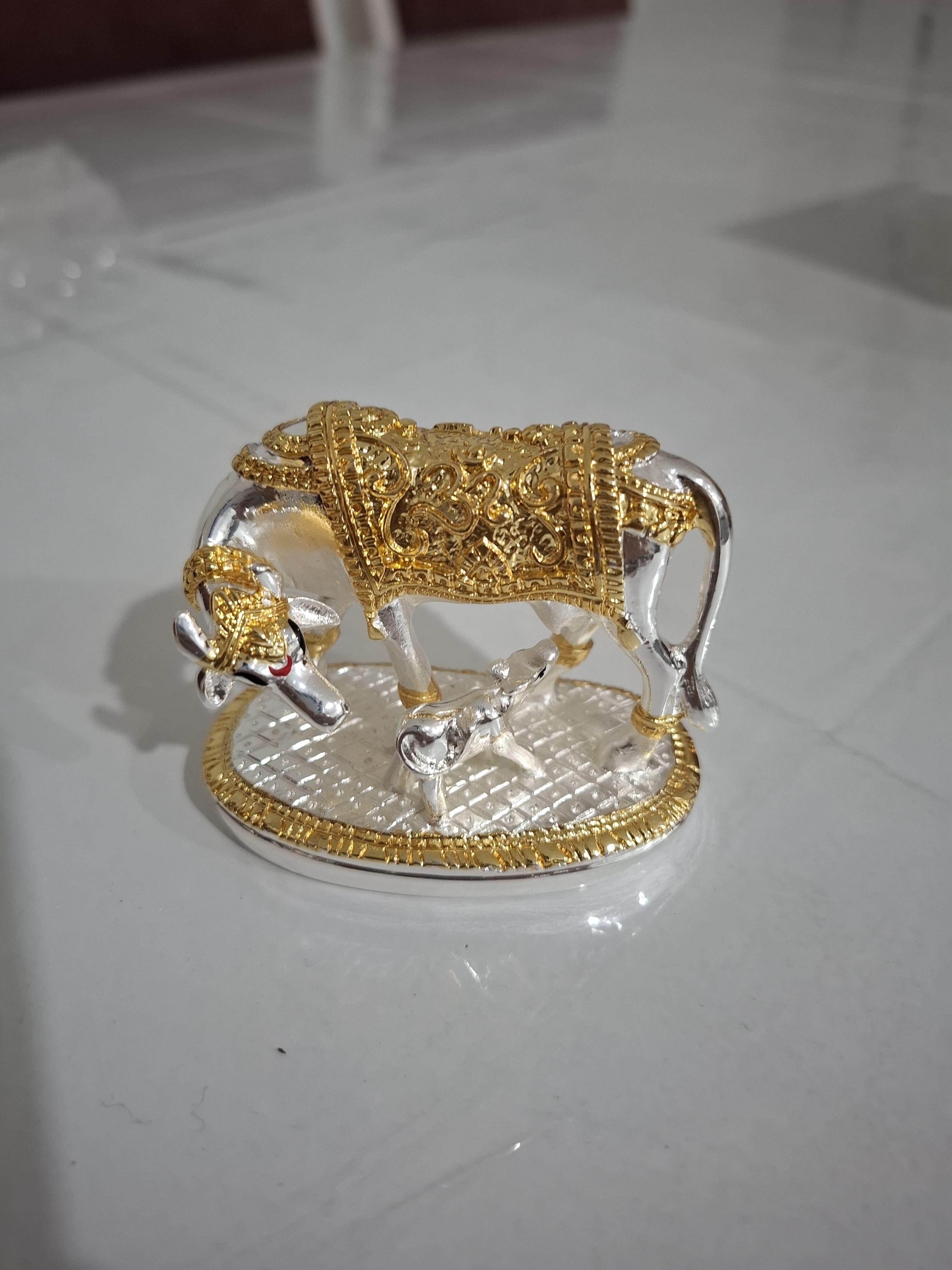 Pradhyumn Sharma review photo