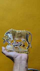 Sanjay Parmar review photo