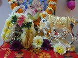 Sirisha review photo