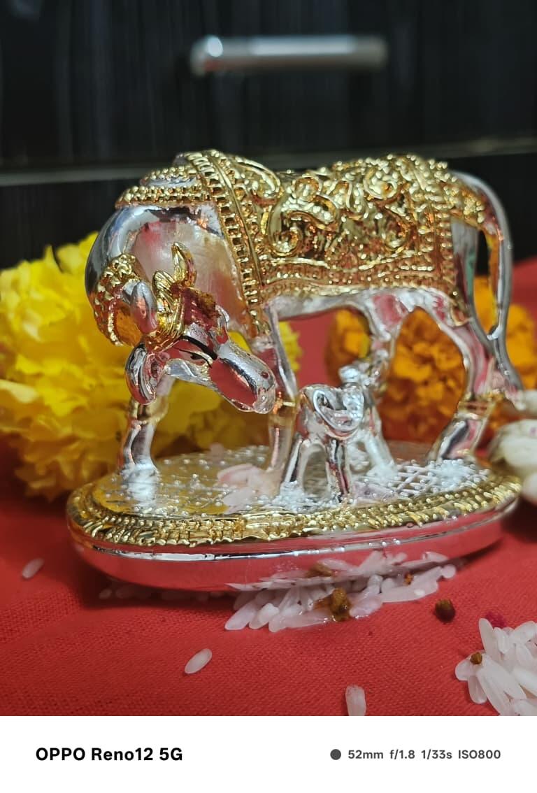 Dipalee Pawar review photo