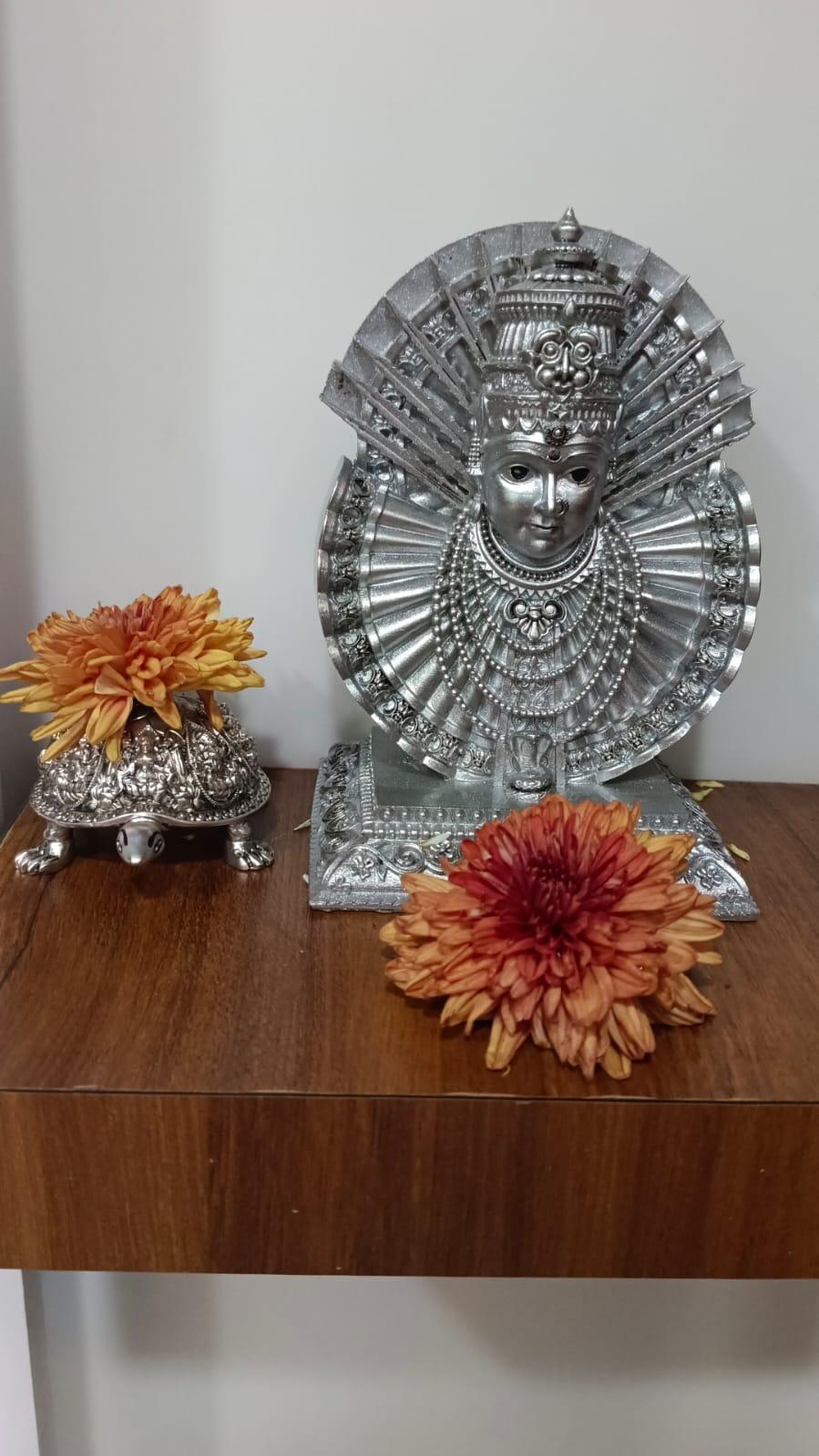 Mounika K review photo
