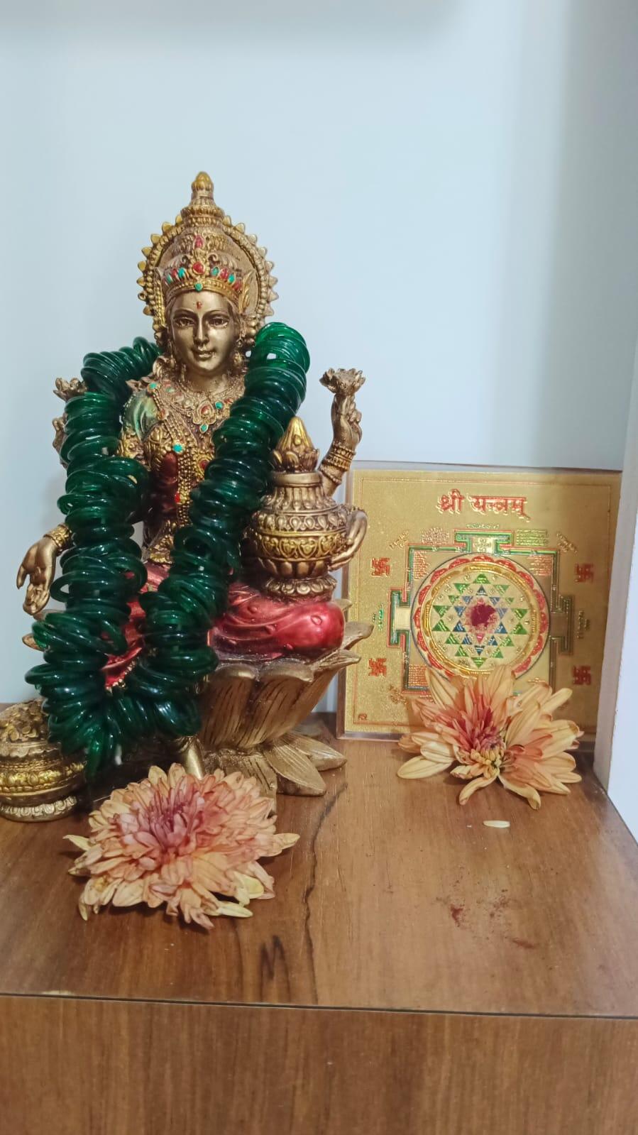 Mounika K review photo