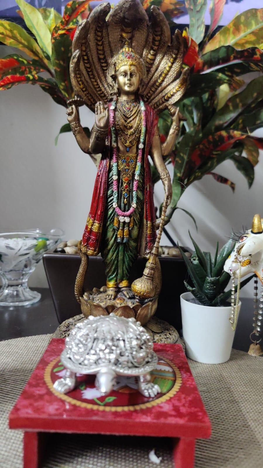 Sujatha Murthy review photo