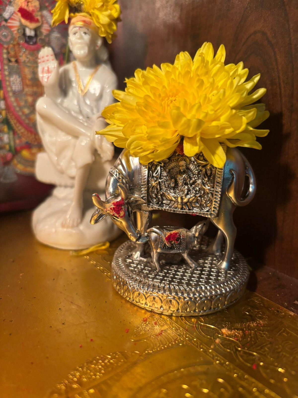 Prathiba . review photo