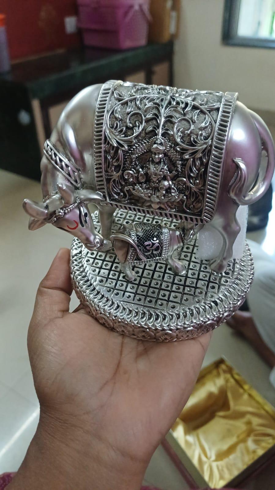 Mahendra Pandya review photo