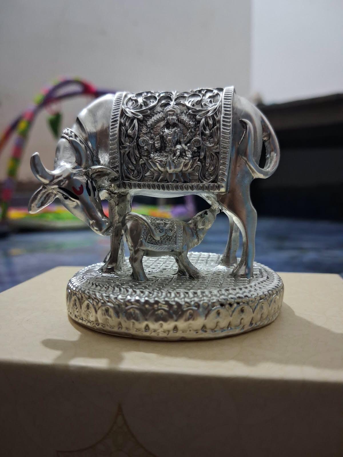 Ravi Pal review photo