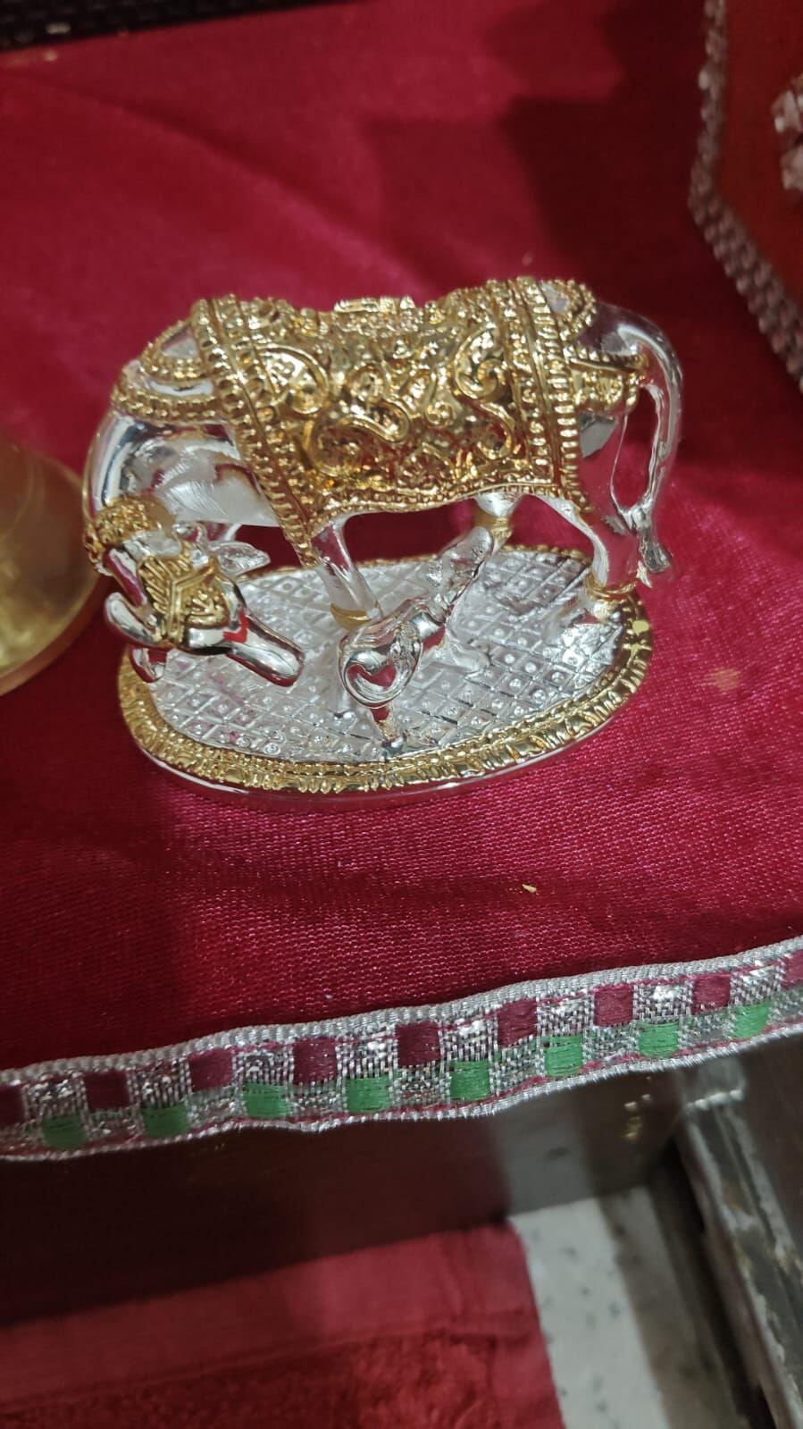 Jatin Thapar review photo