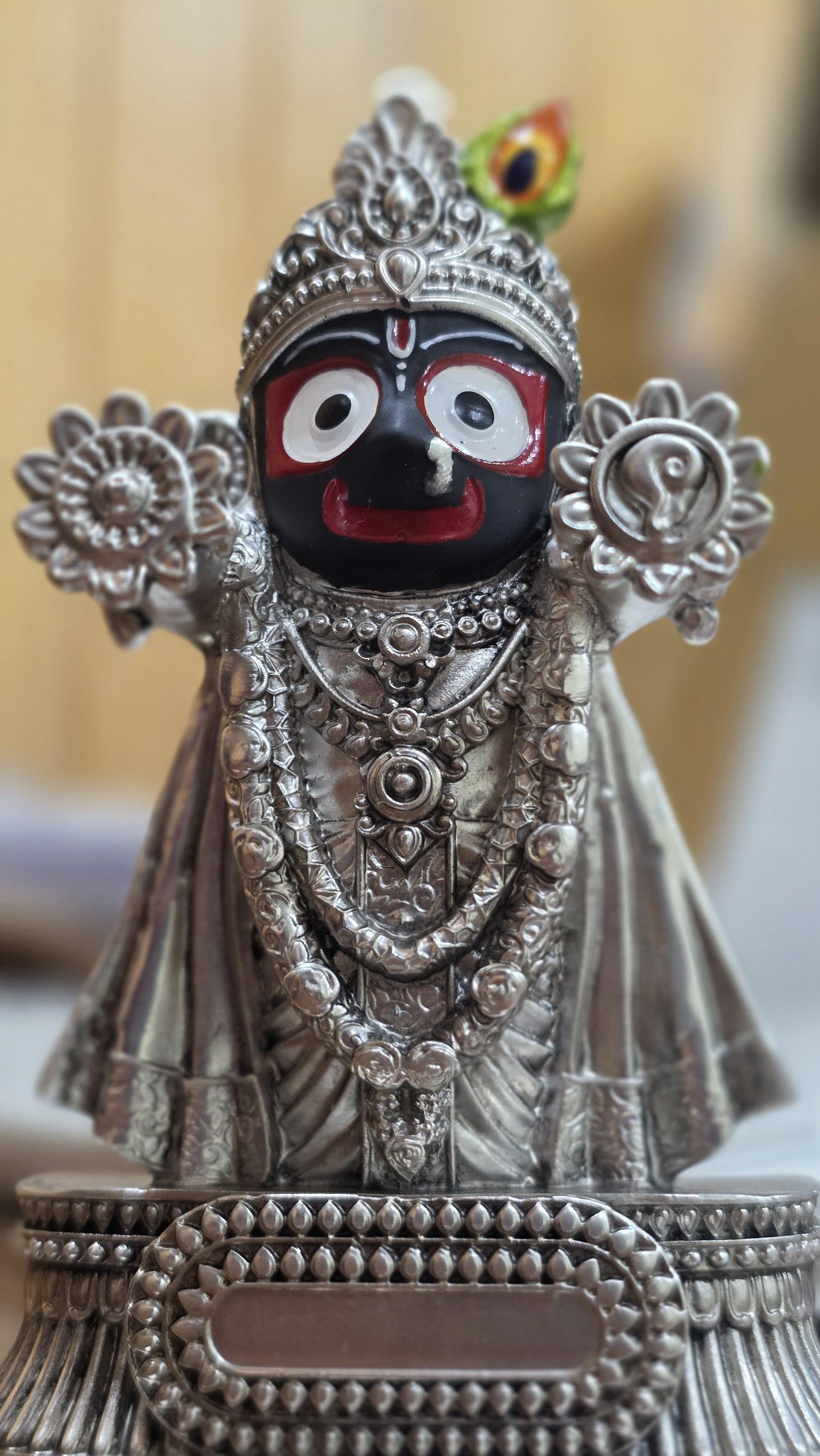 Anuj Vishnoi review photo