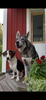 Fredrik E. review photo