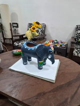 Vrushali Dekate review photo