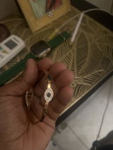 Mani Singh review photo