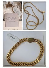Troy Rema review photo