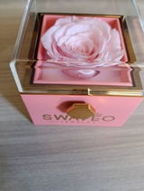 Ruggiero C. review photo