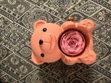 Constance H. review photo